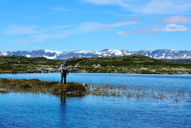 Et tidligere bilde. Hallingskarvet i bakgrunnen (Foto Kristin)